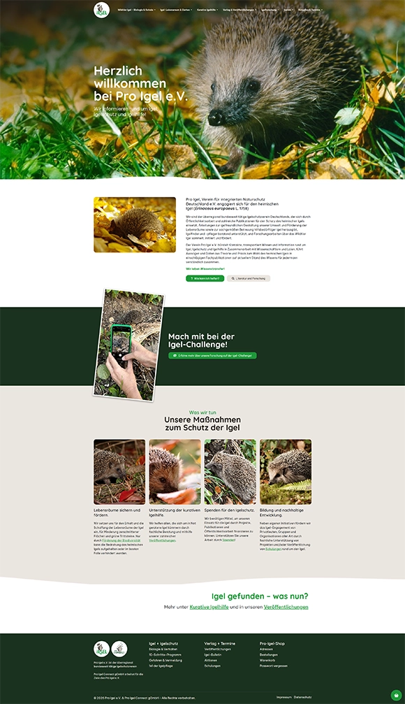 Webdesign Referenz proigel